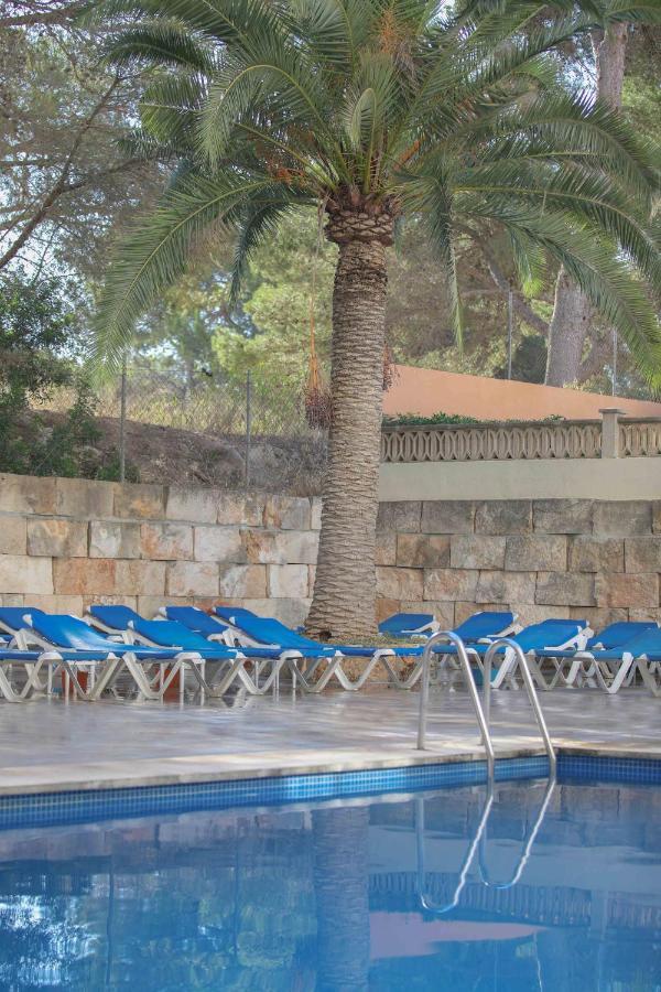 Hotel Elegance Playa Arenal El Arenal  Einrichtungen foto